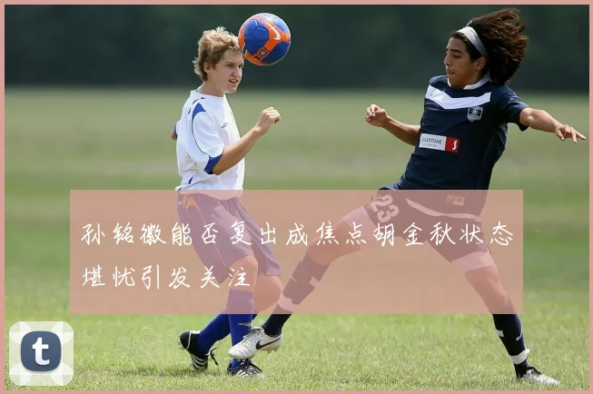 孙铭徽能否复出成焦点胡金秋状态堪忧引发关注
